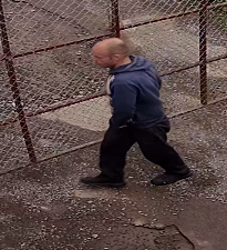 Appeal for Names – CCTV Footage shows thieves