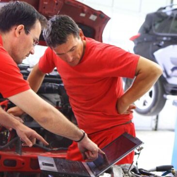 Job Opportunity – Motor Vehicle Technician / MOT Tester